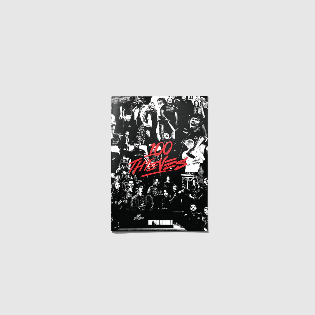 100 Thieves Zine 2025