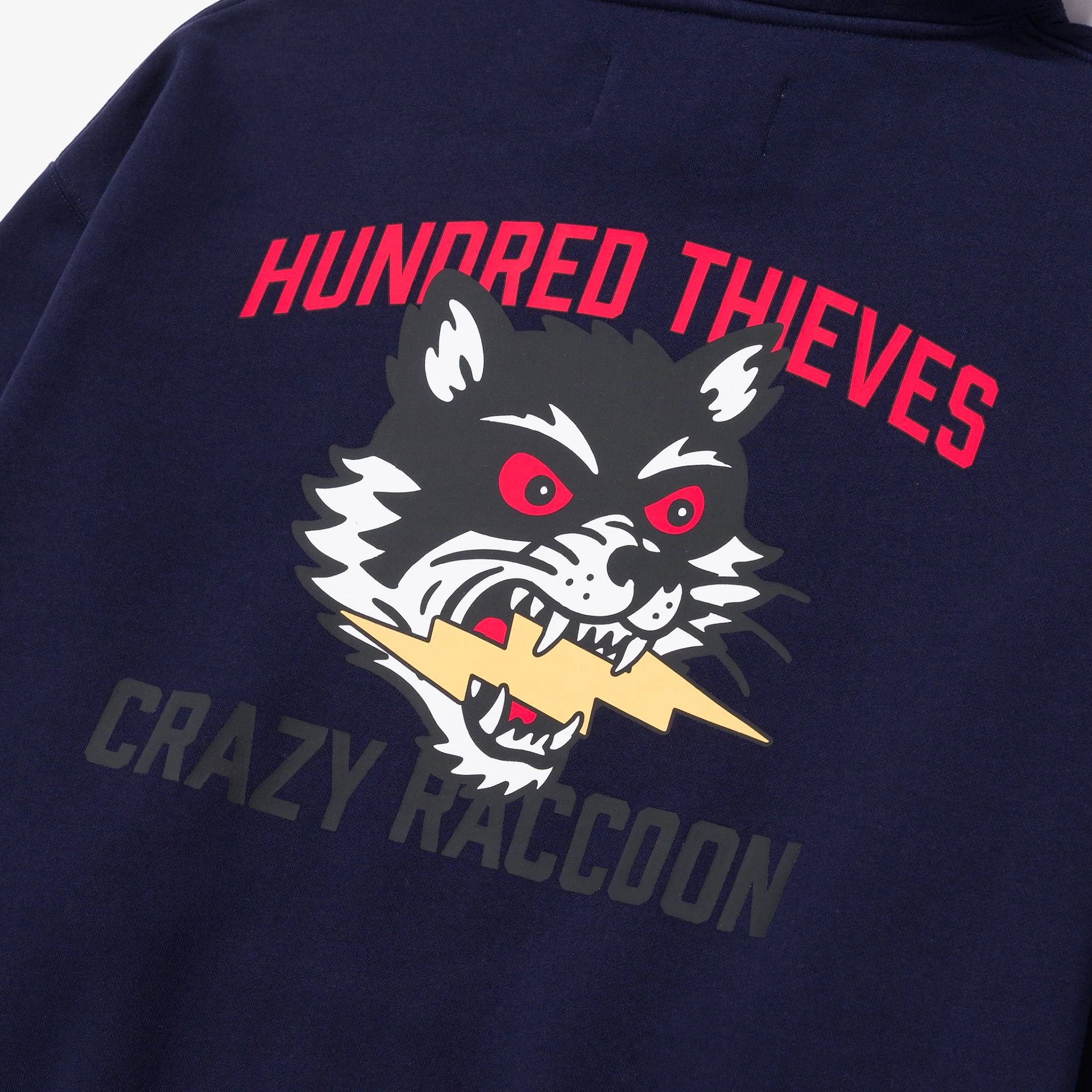 CR X 100T LA to Tokyo Hoodie - Image 7
