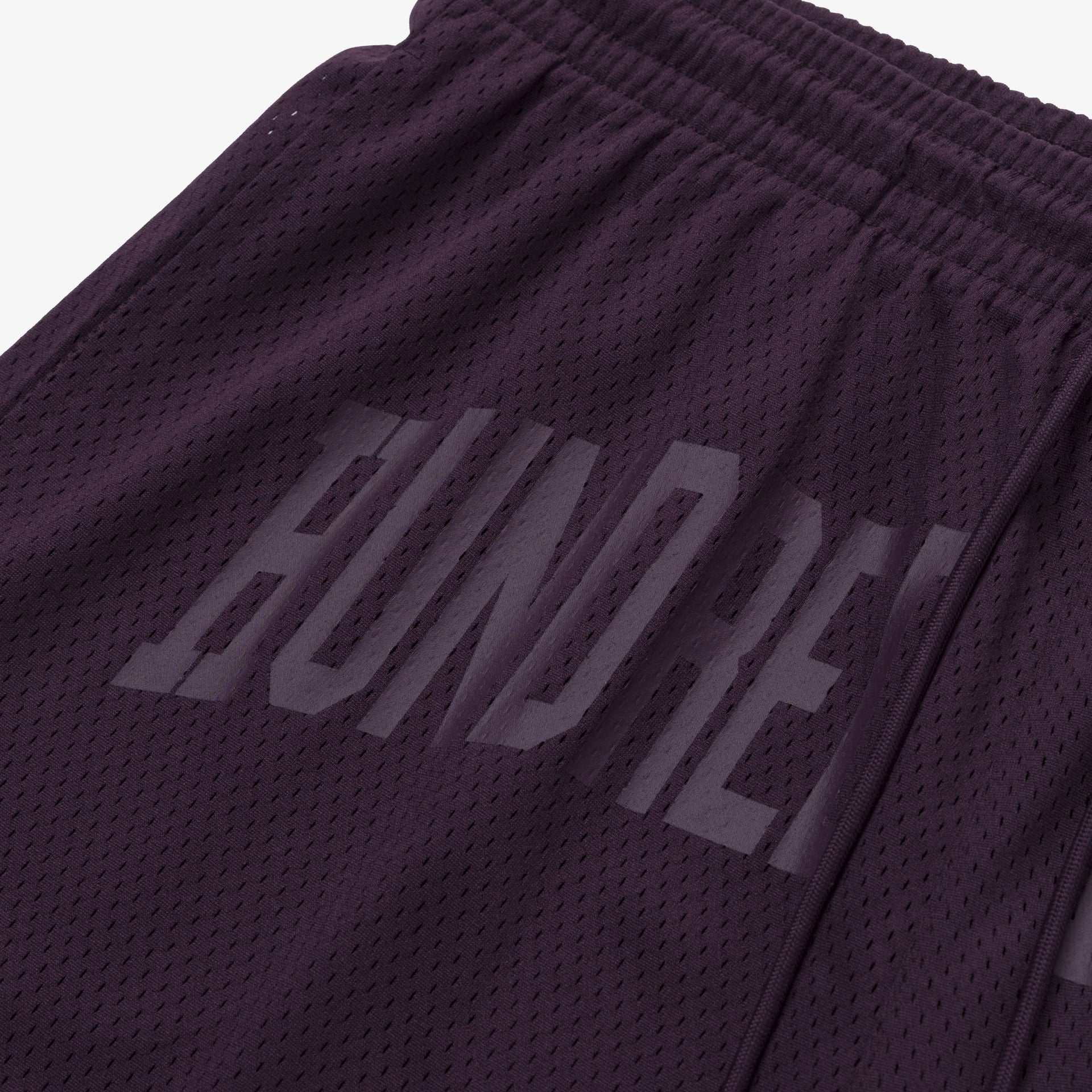 Foundations SS'24 Mesh Short - Plum - Image 6